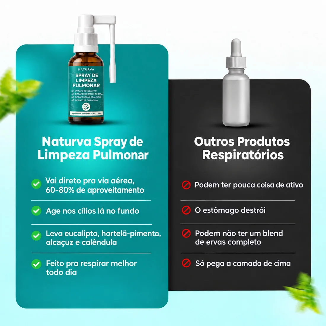 Botânicos que compõem o Naturva™ Spray de Limpeza Pulmonar